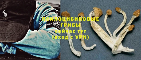 СК Балахна