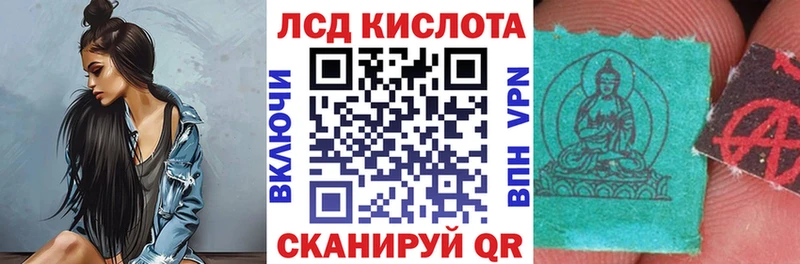 Марки NBOMe 1,5мг  где купить   Камышлов 