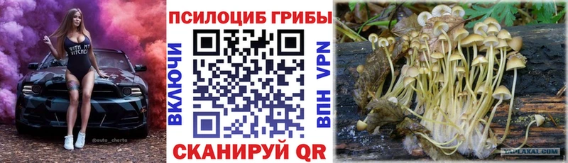 Псилоцибиновые грибы ЛСД  наркошоп  Камышлов 